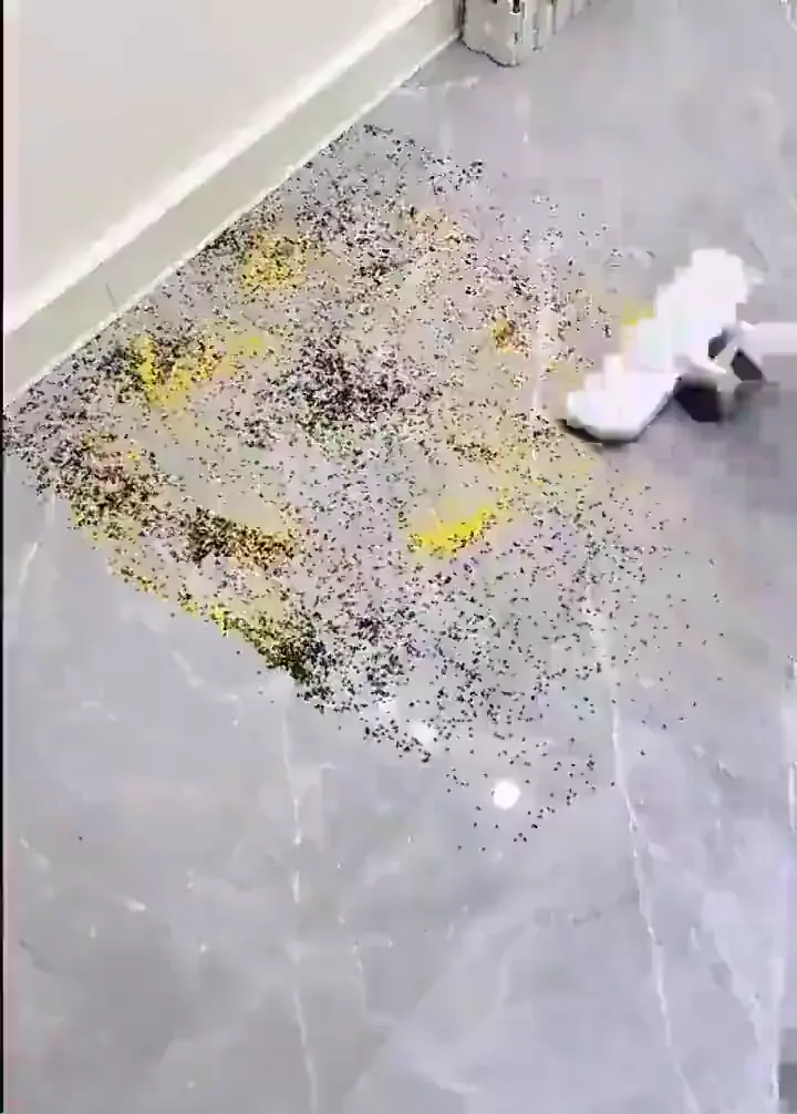 Aspirador De Pó Sem Fio Portátil