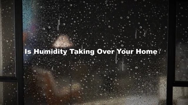 Dehumidifiers for Home